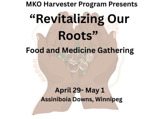 MKO Harvester Program presents “Revitalizing our Roots”  Food & Medicine Gathering