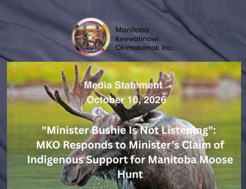 “Minister Bushie Is Not Listening”: MKO Responds to Minister’s Claim of Indigenous Support for Manitoba Moose Hunt